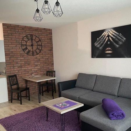 Apartamenty Bartnicza C Bielsko-Biała Kültér fotó